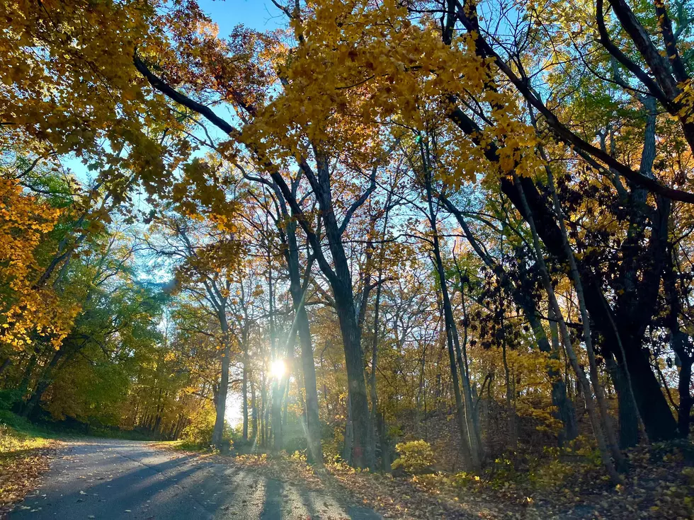 3 of the Best Midwest Parks for Viewing Fall Colors are in Iowa
