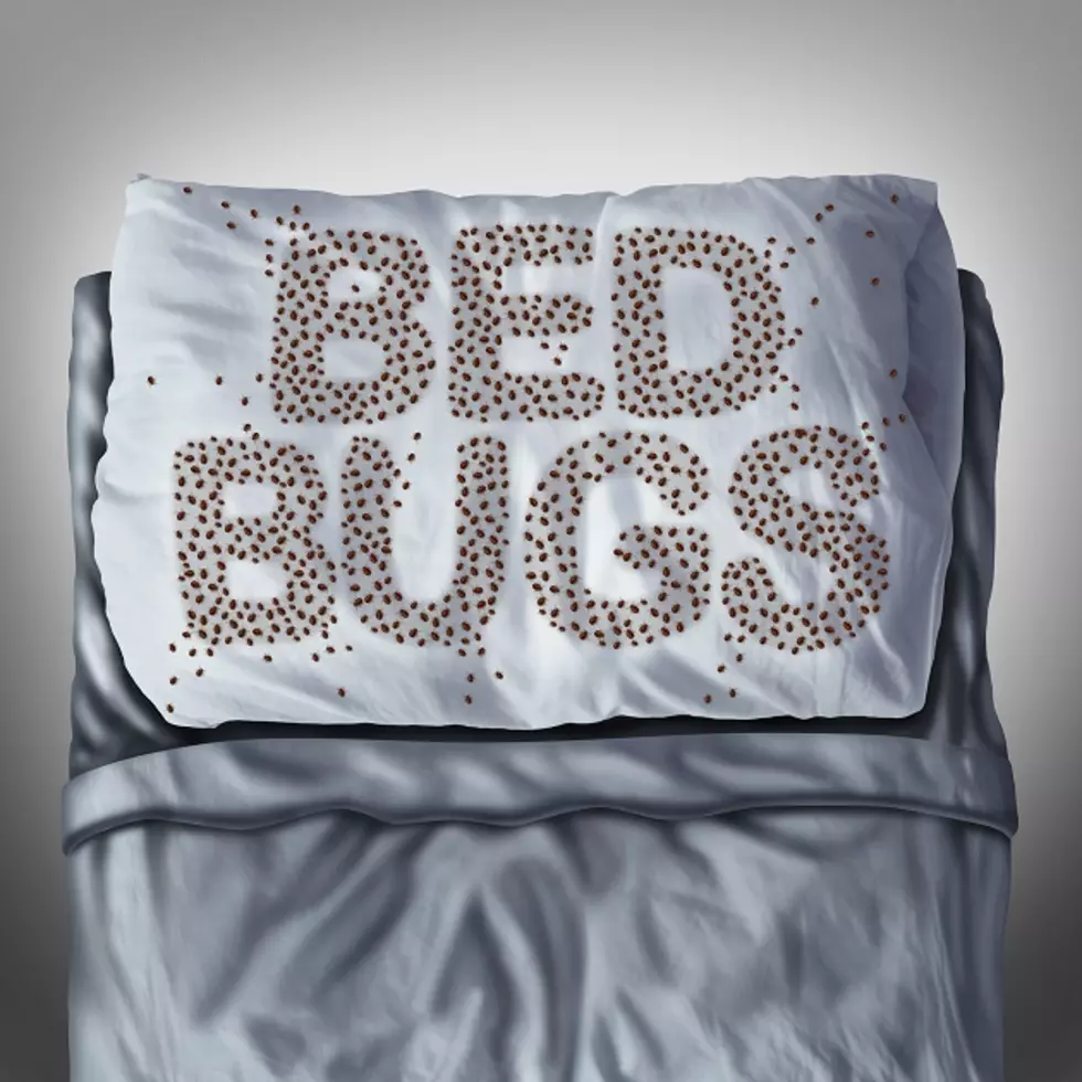 Health Officials Find No Bed Bugs at Iowa City Hotel